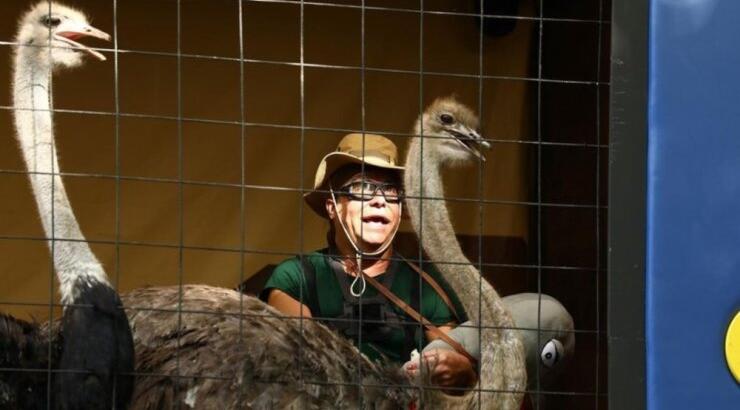 Τρύφωνας Σαμαράς: Η ξεχωριστή είσοδός του στο χθεσινό επεισόδιο του "Ι