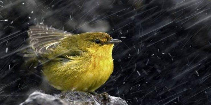 Βροχές και καταιγίδες σε πολλές περιοχές της Κύπρου