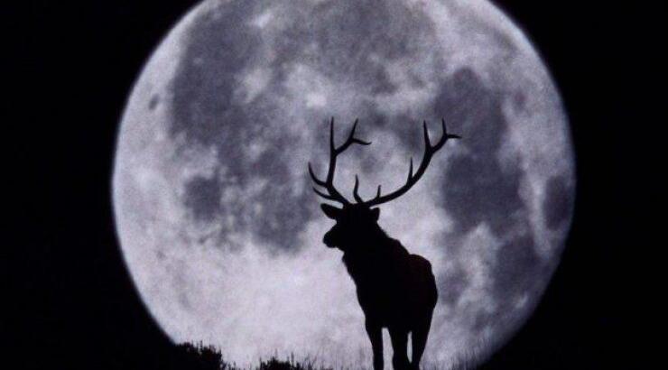 Χριστούγεννα με πανσέληνο