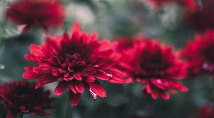 Τι προβλέπουν τα ζώδια για την Πέμπτη 3 Οκτωβρίου 2019;