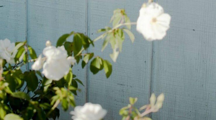 Τι προβλέπουν τα ζώδια για την Τετάρτη 21 Αυγούστου 2019;