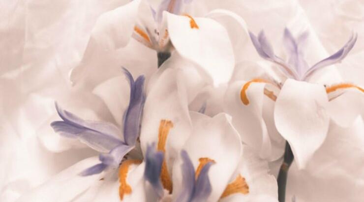 Τι προβλέπουν τα ζώδια για την Τρίτη 28 Ιανουαρίου 2020;