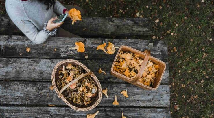 Τι προβλέπουν τα ζώδια για τη Δευτέρα 7 Οκτωβρίου 2019;