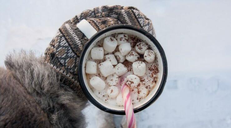 Τι προβλέπουν τα ζώδια για την Τρίτη 7 Ιανουαρίου 2020; 