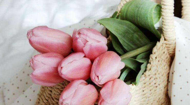 Τι προβλέπουν τα ζώδια για την Τρίτη 11 Αυγούστου 2020;