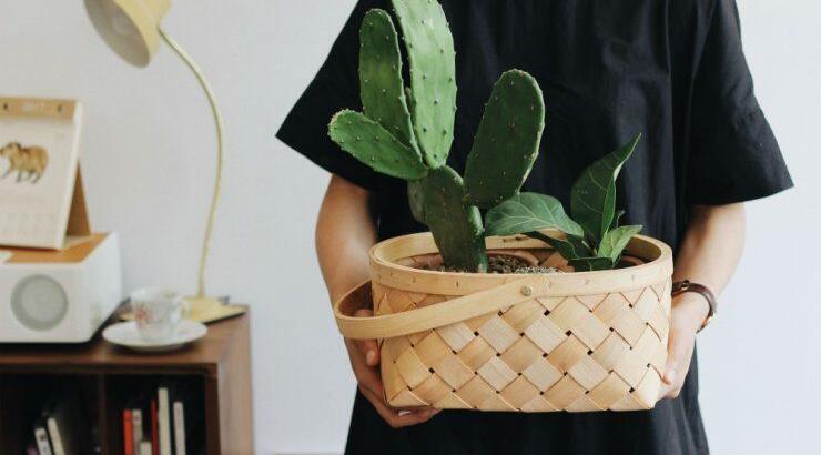 Τι προβλέπουν τα ζώδια για την Κυριακή 13 Δεκεμβρίου 2020;