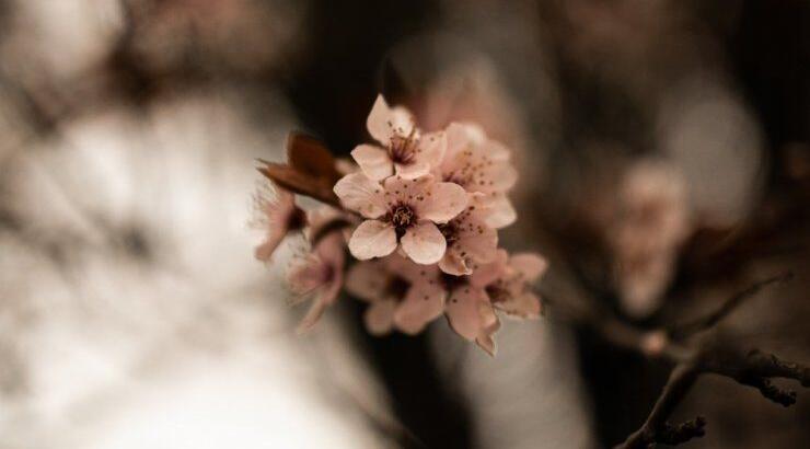 Τι προβλέπουν τα ζώδια για την Τετάρτη 14 Απριλίου 2021;