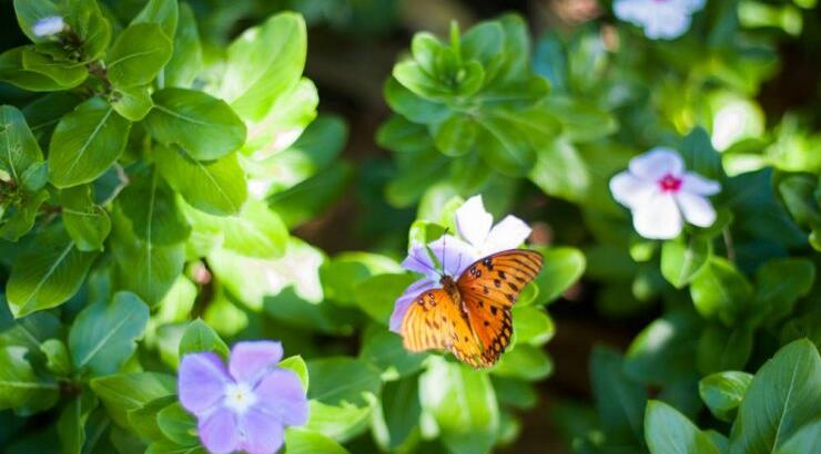 Τι προβλέπουν τα ζώδια για την Παρασκευή 15 Μαρτίου 2019;