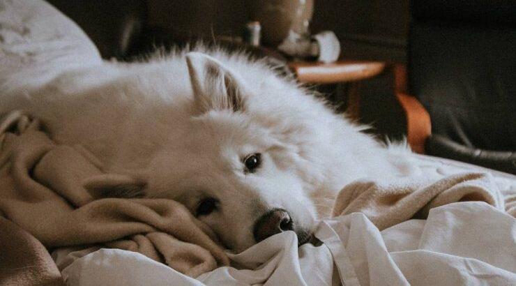 Τι προβλέπουν τα ζώδια για τη Δευτέρα 15 Μαρτίου 2021;