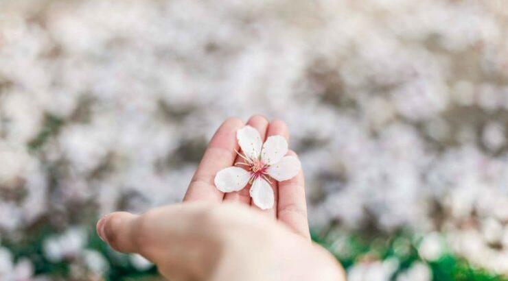 Τι προβλέπουν τα ζώδια για το Σάββατο 16 Μαρτίου 2019;