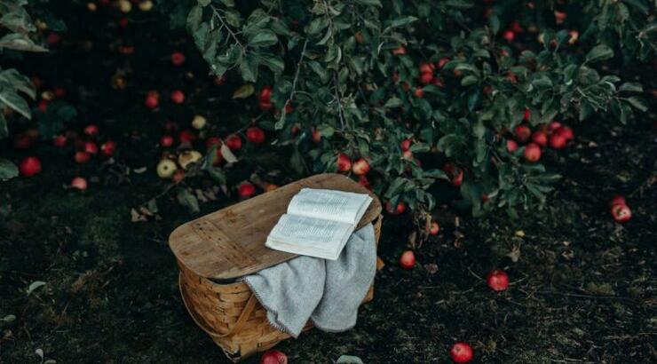 Τι προβλέπουν τα ζώδια για το Σάββατο 18 Ιανουαρίου 2020;