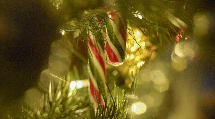 Τι προβλέπουν τα ζώδια για τη Δευτέρα 19 Δεκεμβρίου 2022;