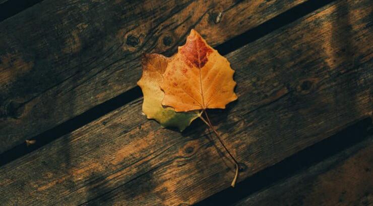 Τι προβλέπουν τα ζώδια για τη Δευτέρα 19 Οκτωβρίου 2020; 