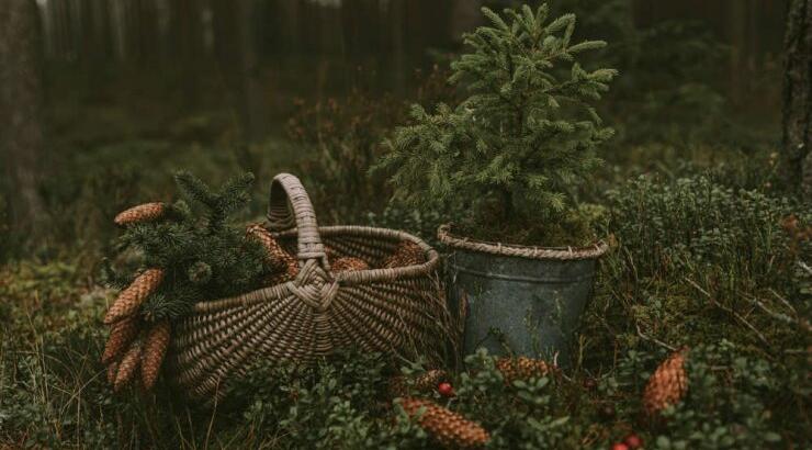 Τι προβλέπουν τα ζώδια για την Πέμπτη 21 Νοεμβρίου 2019;