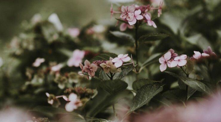 Τι προβλέπουν τα ζώδια για τη Δευτέρα 21 Σεπτεμβρίου 2020;