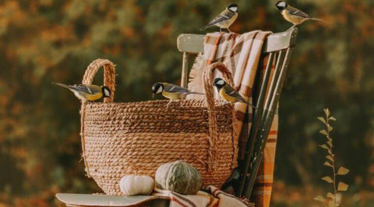 Τι προβλέπουν τα ζώδια για την Τρίτη 15 Οκτωβρίου 2019;