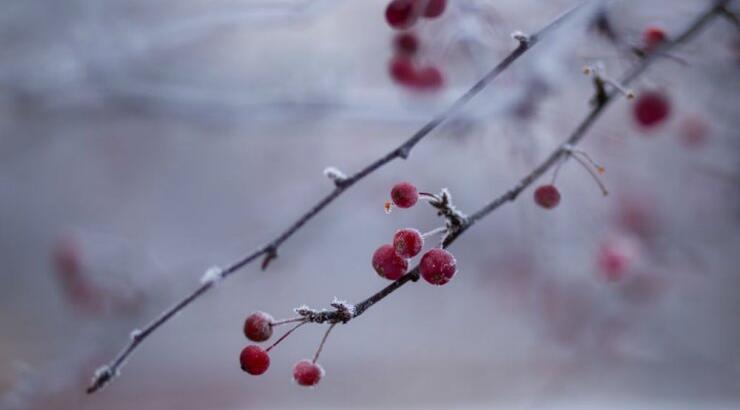 Τι προβλέπουν τα ζώδια για την Πέμπτη 2 Ιανουαρίου 2020;