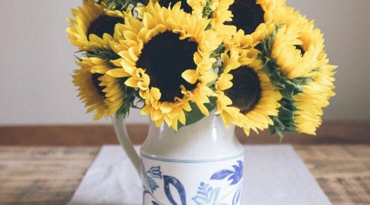 Τι προβλέπουν τα ζώδια για τη Δευτέρα 23 Μαρτίου 2020;