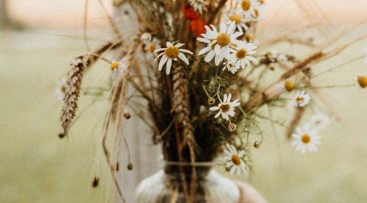 Τι προβλέπουν τα ζώδια για την Παρασκευή 24 Απριλίου 2020;