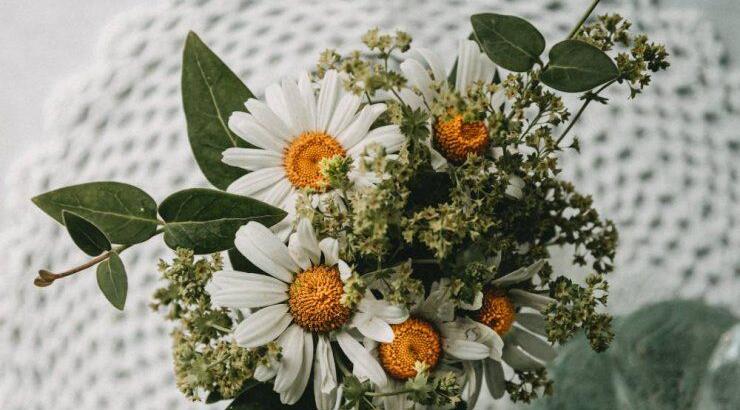 Τι προβλέπουν τα ζώδια για το Σάββατο 24 Απριλίου 2021;