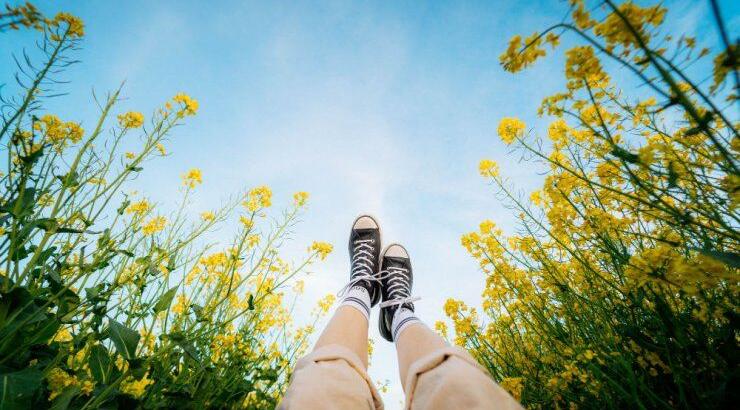 Τι προβλέπουν τα ζώδια για την Παρασκευή 24 Ιουλίου 2020;