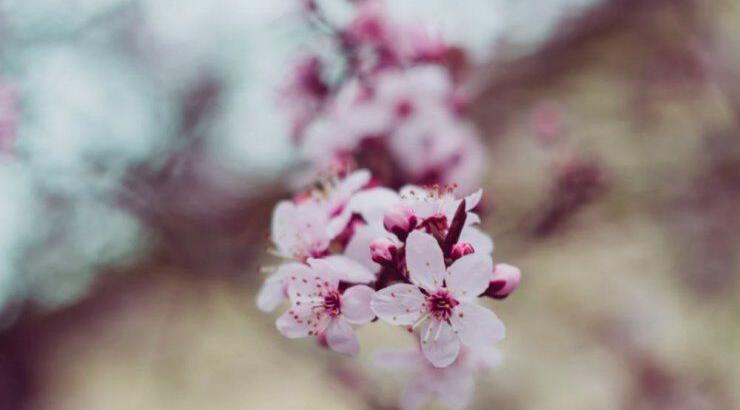 Τι προβλέπουν τα ζώδια για την Τετάρτη 25 Μαρτίου 2020; 