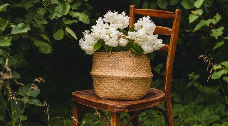 Τι προβλέπουν τα ζώδια για την Τρίτη 25 Μαΐου 2021;