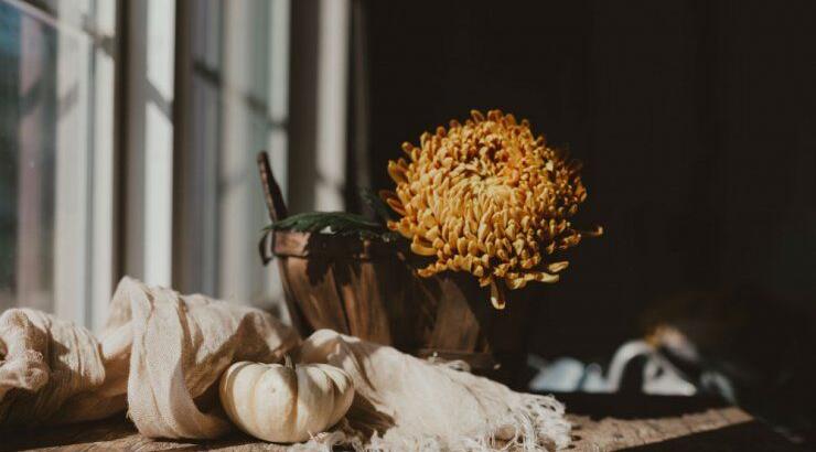 Τι προβλέπουν τα ζώδια για την Παρασκευή 25 Σεπτεμβρίου 2020; 