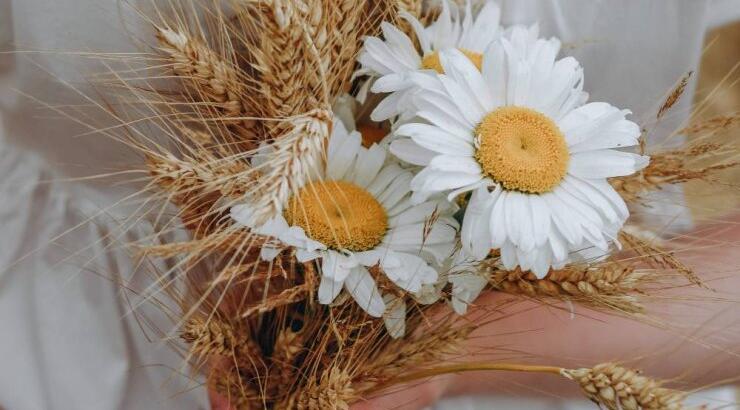 Τι προβλέπουν τα ζώδια για την Τετάρτη 26 Μαΐου 2021; 