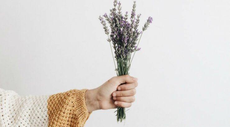 Τι προβλέπουν τα ζώδια για την Παρασκευή 27 Μαρτίου 2020;