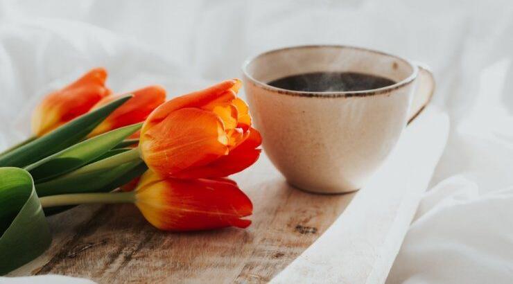 Τι προβλέπουν τα ζώδια για το Σάββατο 29 Μαΐου 2021;