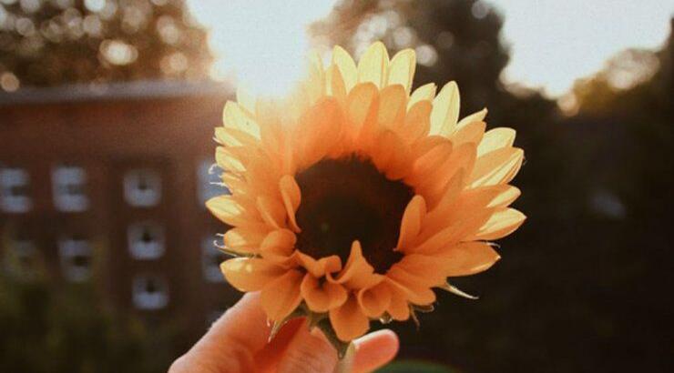 Τι προβλέπουν τα ζώδια για την Κυριακή 15 Σεπτεμβρίου 2019;