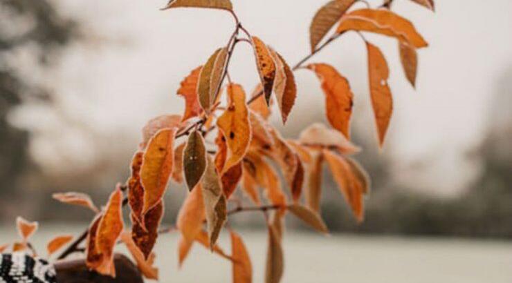 Τι προβλέπουν τα ζώδια για το Σάββατο 19 Οκτωβρίου 2019;