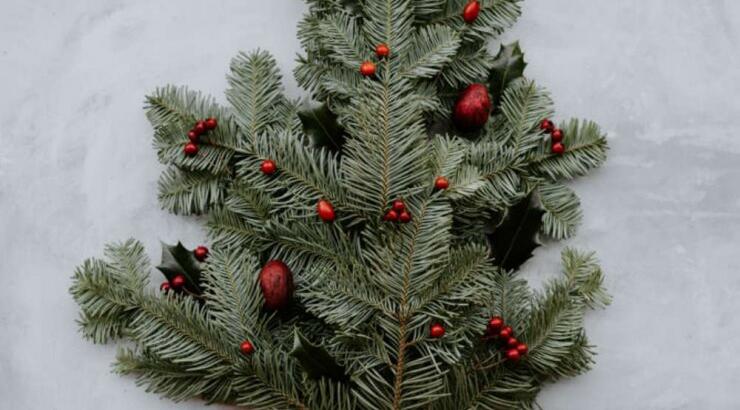 Τι προβλέπουν τα ζώδια για την Τετάρτη 4 Δεκεμβρίου 2019;