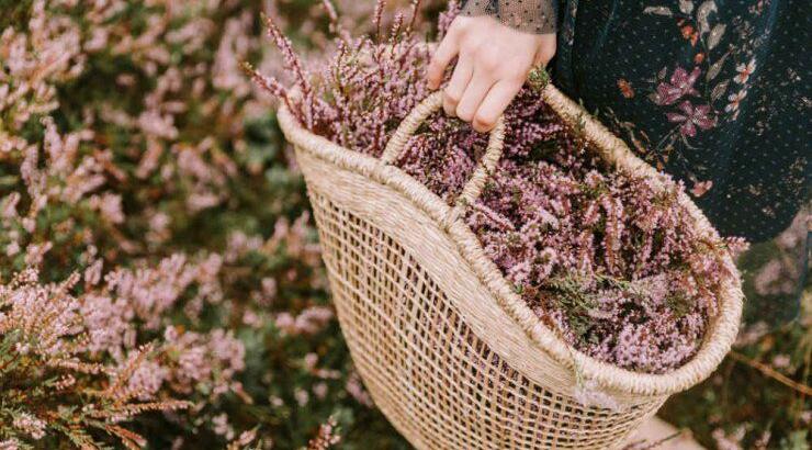 Τι προβλέπουν τα ζώδια για την Κυριακή 3 Νοεμβρίου 2019;