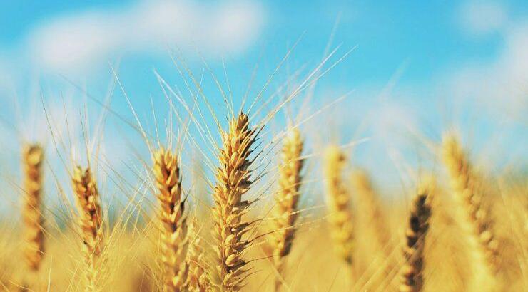 Τι προβλέπουν τα ζώδια για την Παρασκευή 19 Ιουλίου 2019;