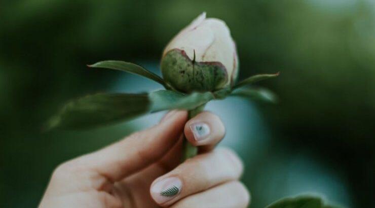 Τι προβλέπουν τα ζώδια για την Πέμπτη 1η Αυγούστου 2019; 