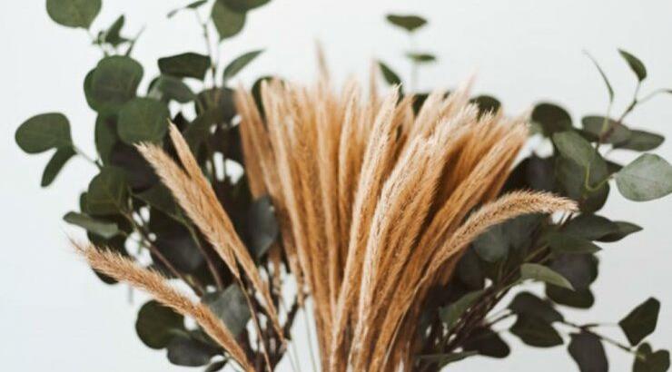 Τι προβλέπουν τα ζώδια για τη Δευτέρα 4 Νοεμβρίου 2019; 