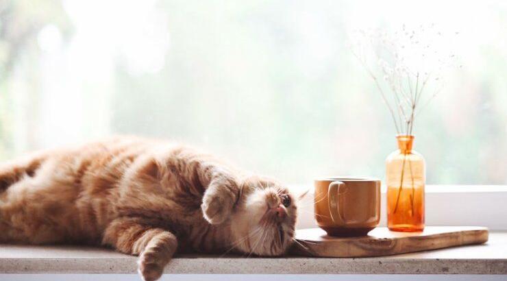 Τι προβλέπουν τα ζώδια για τη Δευτέρα 4 Ιανουαρίου 2021; 