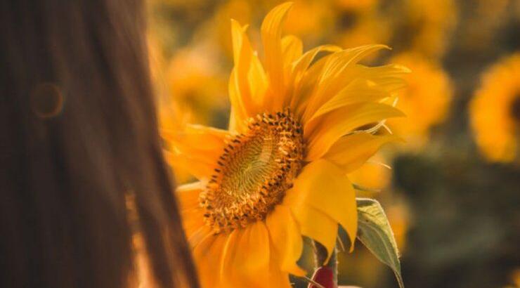 Τι προβλέπουν τα ζώδια για την Παρασκευή 2 Αυγούστου 2019; 