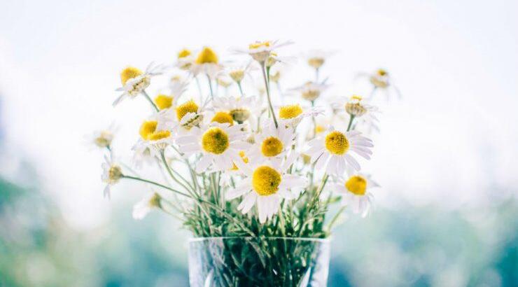 Τι προβλέπουν τα ζώδια για τη Δευτέρα 18 Νοεμβρίου 2019; 