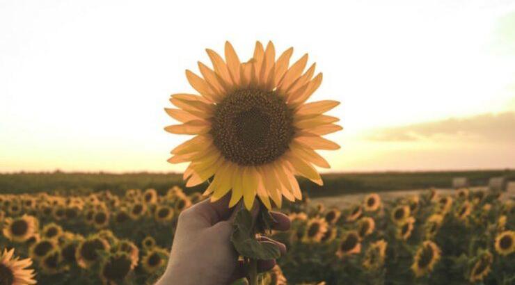 Τι προβλέπουν τα ζώδια για την Κυριακή 4 Αυγούστου 2019;