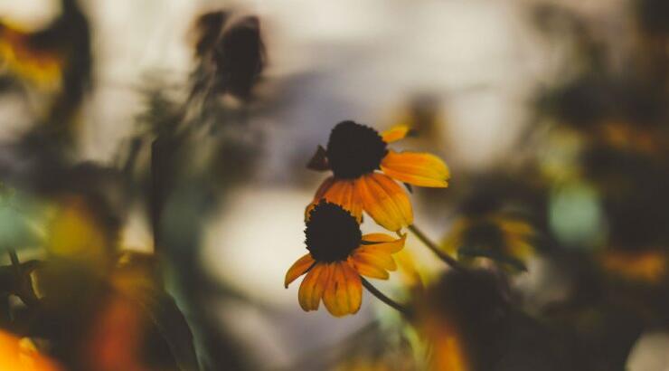 Τι προβλέπουν τα ζώδια για την Τετάρτη 7 Οκτωβρίου 2020;