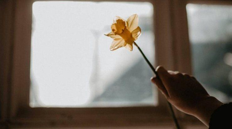 Τι προβλέπουν τα ζώδια για το Σάββατο 8 Απριλίου 2023;