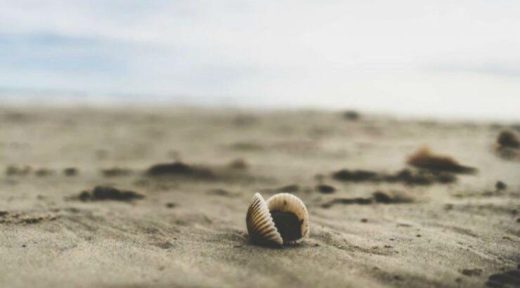 Τι προβλέπουν τα ζώδια για την Τρίτη 6 Αυγούστου 2019;