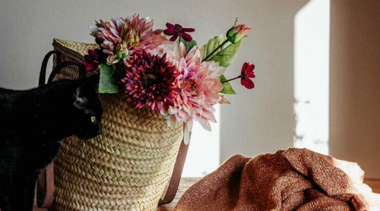 Τι προβλέπουν τα ζώδια για την Τρίτη 12 Μαΐου 2020;