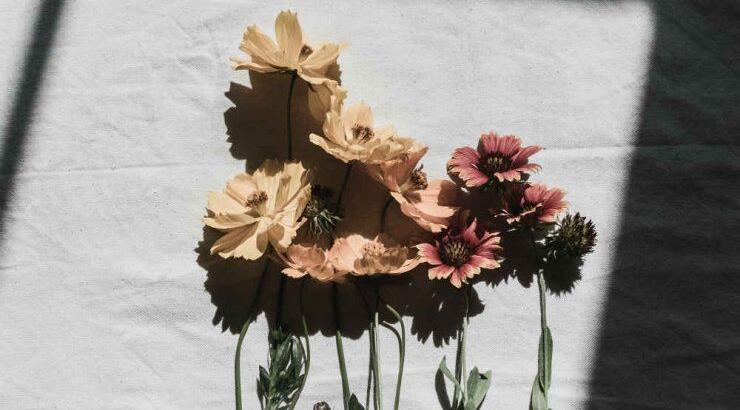 Τι προβλέπουν τα ζώδια για τη Δευτέρα 14 Σεπτεμβρίου 2020;