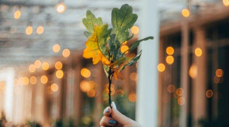 Τι προβλέπουν τα ζώδια για την Τρίτη 17 Σεπτεμβρίου 2019;