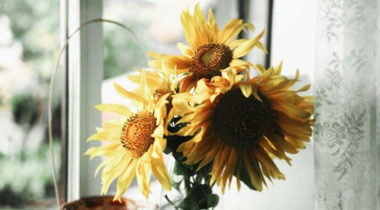 Τι προβλέπουν τα ζώδια για την Τρίτη 19 Μαΐου 2020; 