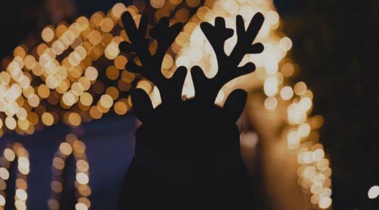 Τι προβλέπουν τα ζώδια για την Τρίτη 24 Δεκεμβρίου 2019;